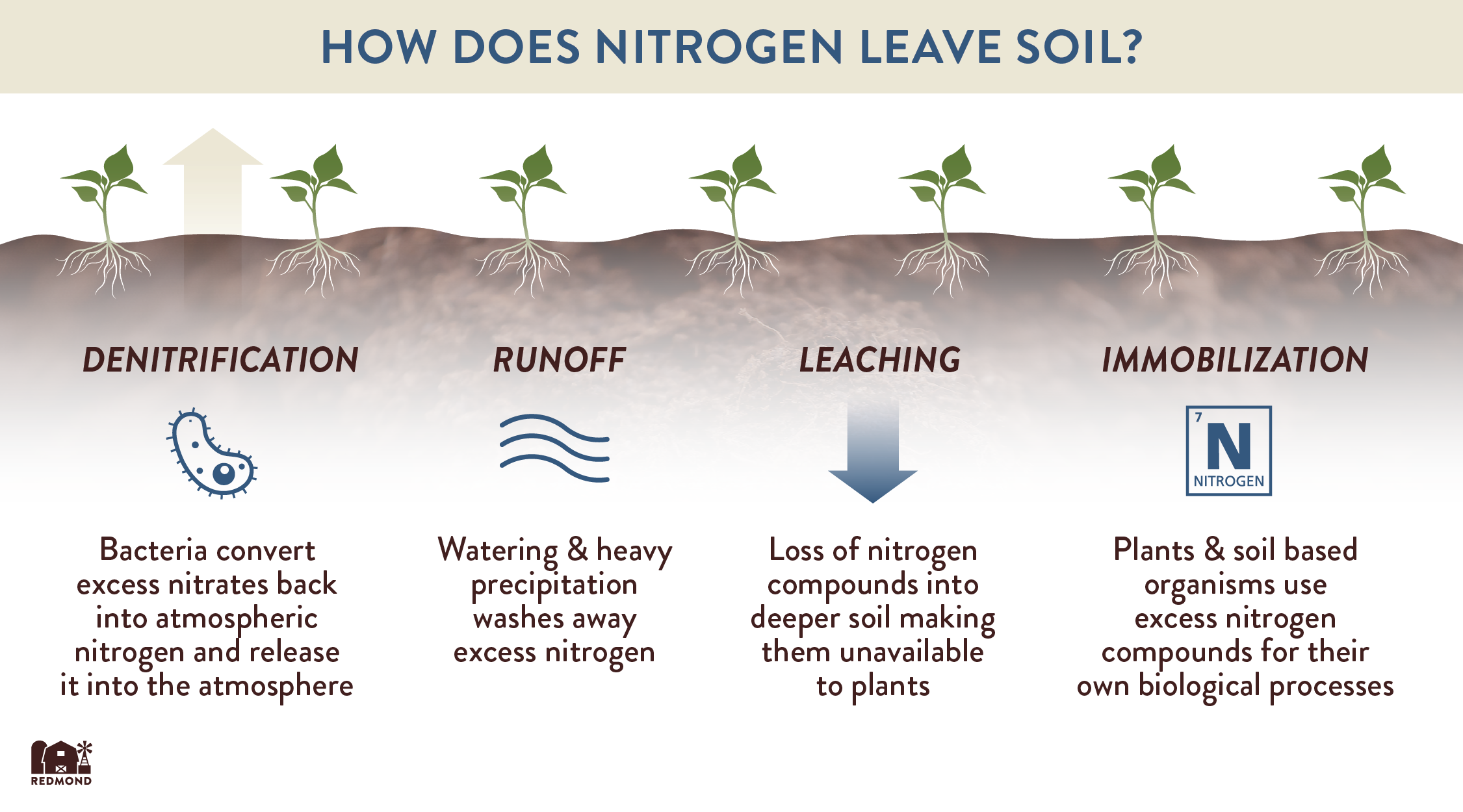 Nitrogen Strategies During A Fertilizer Shortage